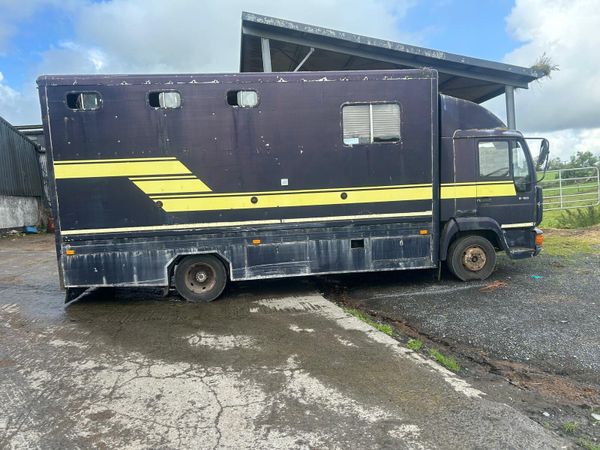 MAN 816.3 horse truck - Main image