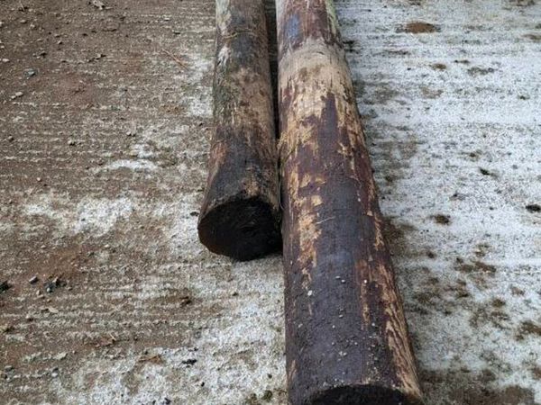 Esb poles - Main image
