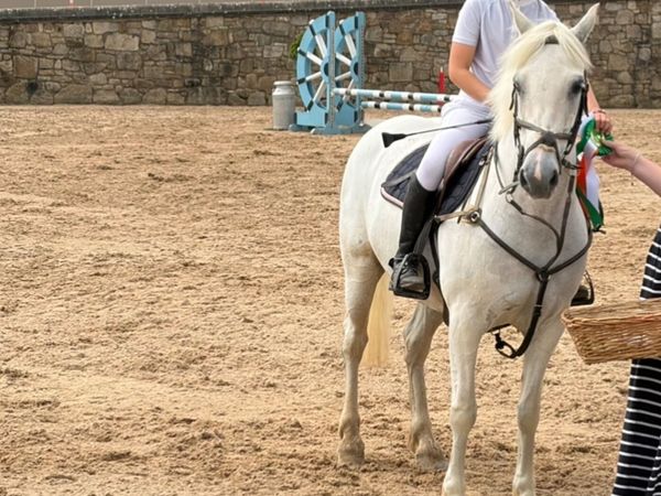 128 Pony - Main image