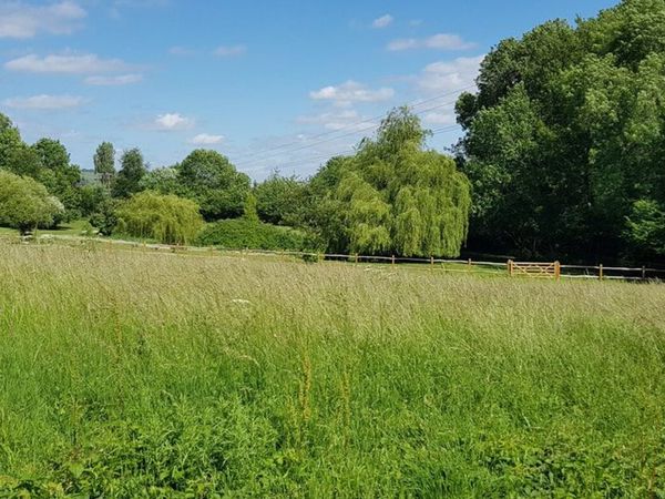 Grass for Sale & Hay for Sale - Main image