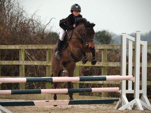 Ponies - Main image