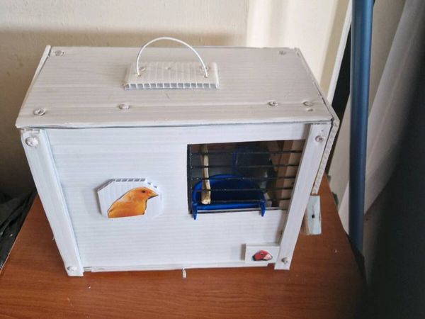 Transport box for budgies. - Main image