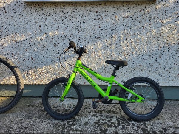 Ridgeback MX16 - Main image