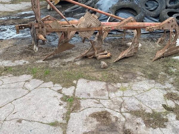 Shed clear out - Main image