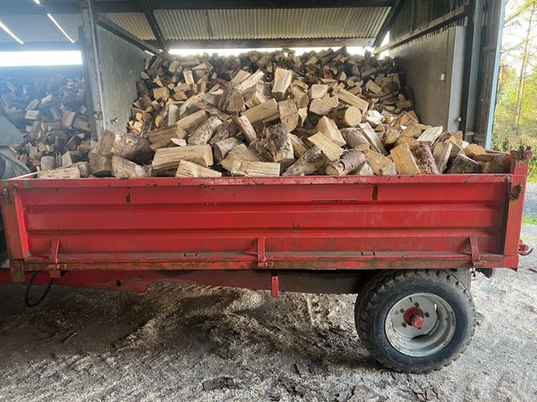 Firewood - Main image