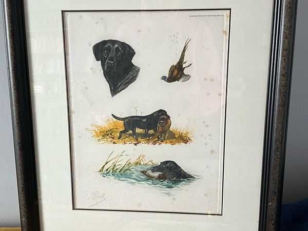 ‘Labrador Hunting Pheasant by Artist Boris Riab - Main image