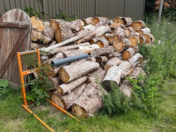 Logs - Main image