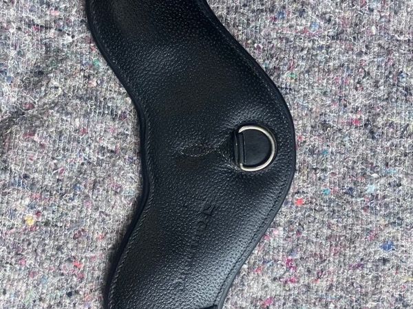 Childeric girth - Main image