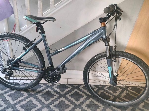 Raleigh Mountain Bike - Main image