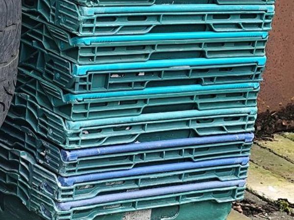 Veg crates boxes - Main image