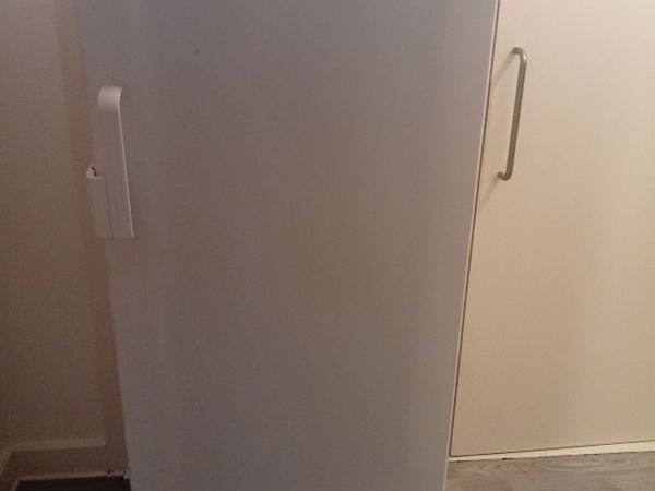 Bosch Quality Freezer 217litres - Main image
