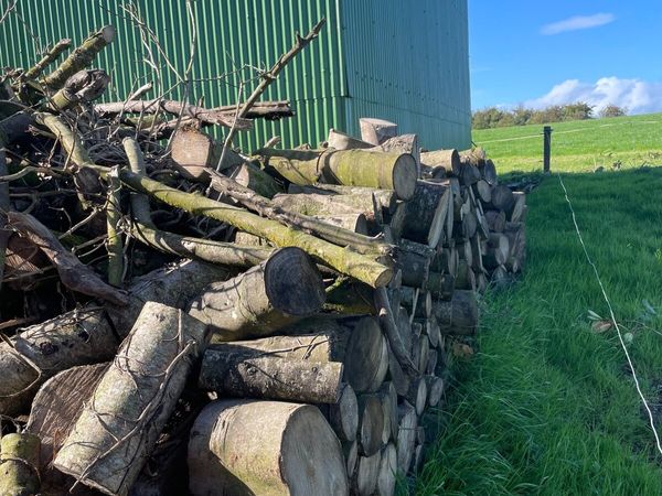 Firewood - Main image