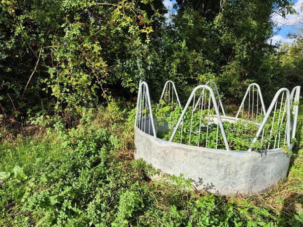 Horse hay feeder galanised 8 spaces - Main image
