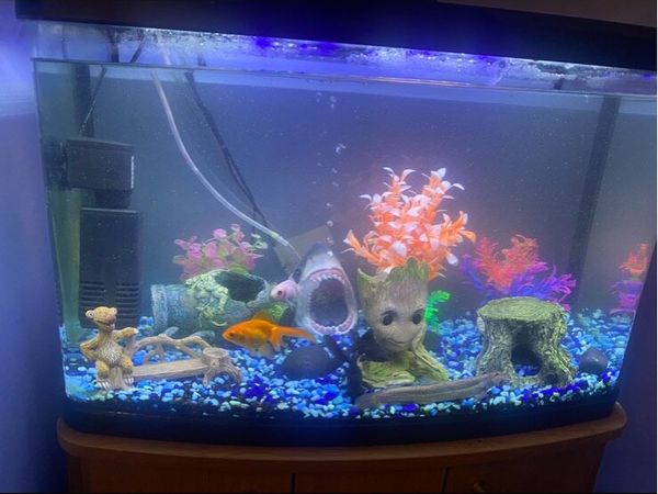 60L Marina Fish Tank with LED Lights - Main image