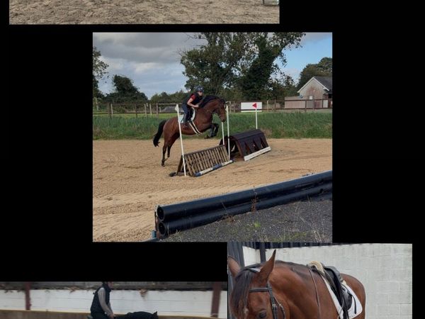 Stunning 4 year old my atomic cruise - Main image