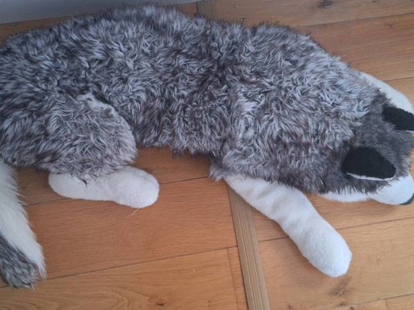 Large husky dog teddy - Main image