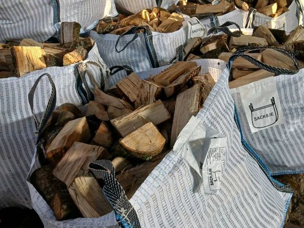 Hardwood and softwood - Main image