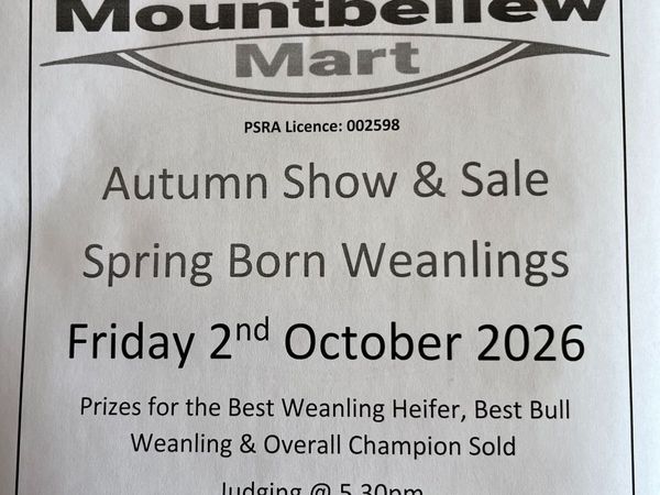 Weanling Show & Sale - Mountbellew Mart - Main image