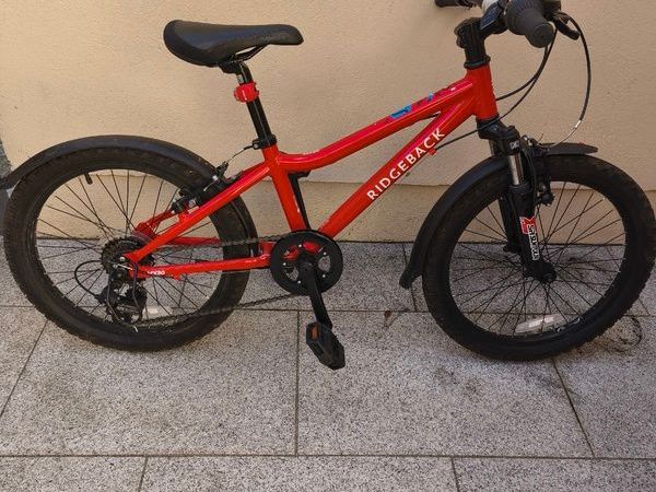 Ridgeback MX20 and Saracen Mantra 1.6 - Main image