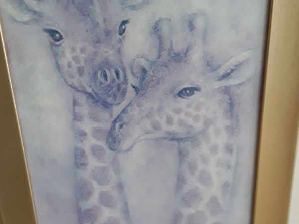 Nice long picture of two giraffes - Main image