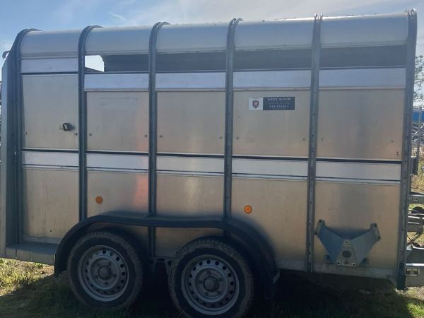 Ifor Williams 10' - Main image