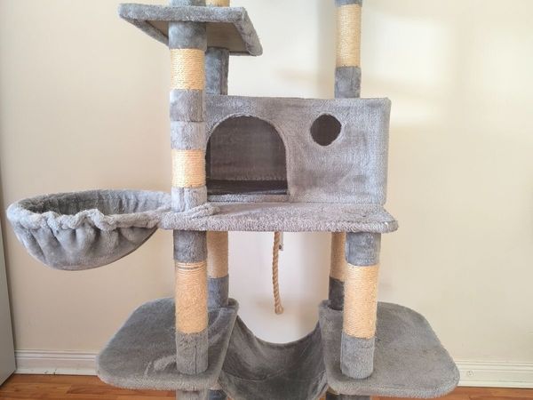cat scratching tree - Main image