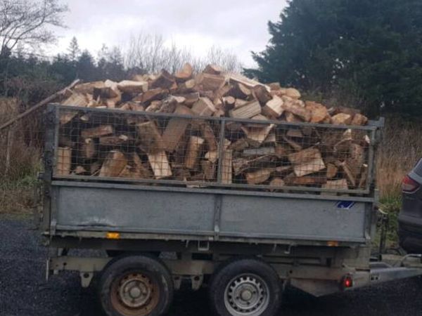 Firewood - Main image