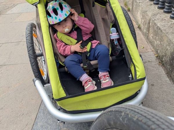 Croozer bike trailer - Main image