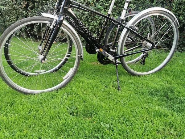 Shed clearance of 4 bikes - Main image