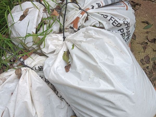 5 Bags Hen Manure - Free - Main image
