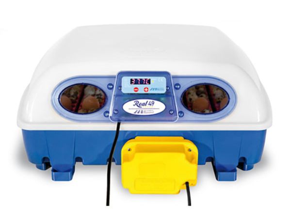 Borotto 49 egg incubator - Main image