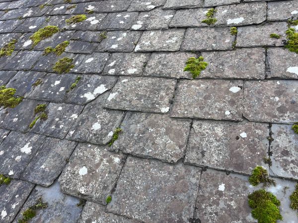 Roof slates - Main image