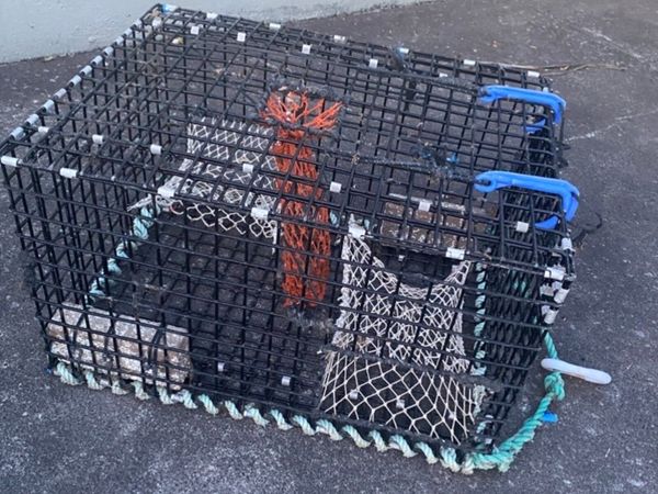 Lobster pots - Main image