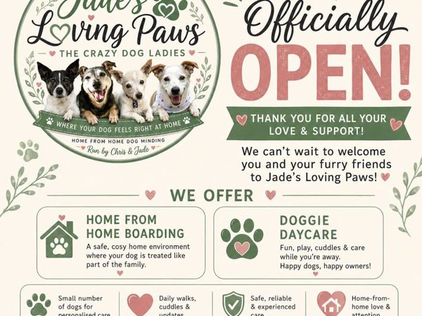 Daycare and home-from-home dog minding services - Main image