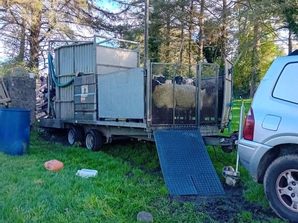 Mobile sheep dipping - Main image