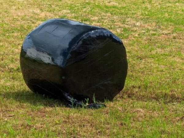 Silage bales - Main image