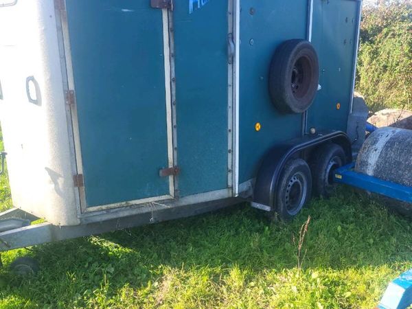 HORSE BOX IVOR WILLIAMS  505 - Main image