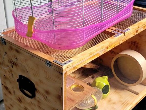 Dwarf hamster cage - Main image
