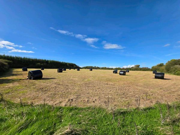 Silage Bales - Main image