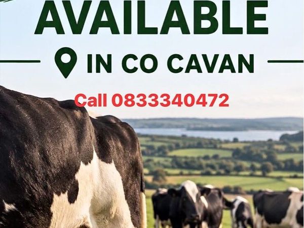 Relief milker available - Main image