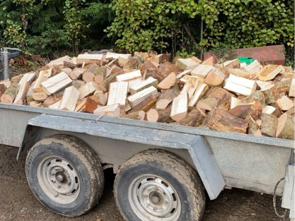 Ash hardwood 🔥 - Main image