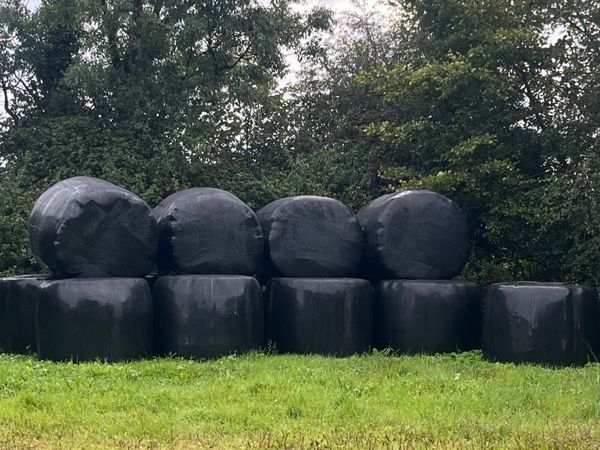 Haylage bales - Main image