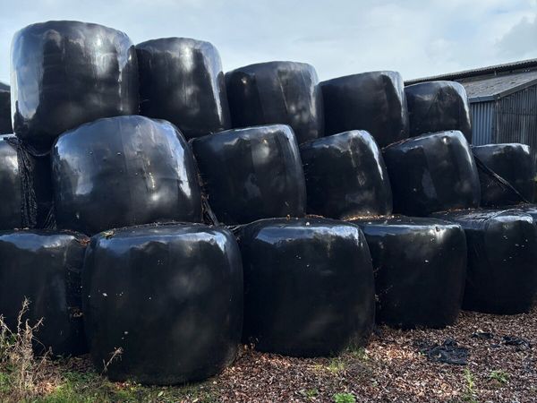 Silage bales - Main image