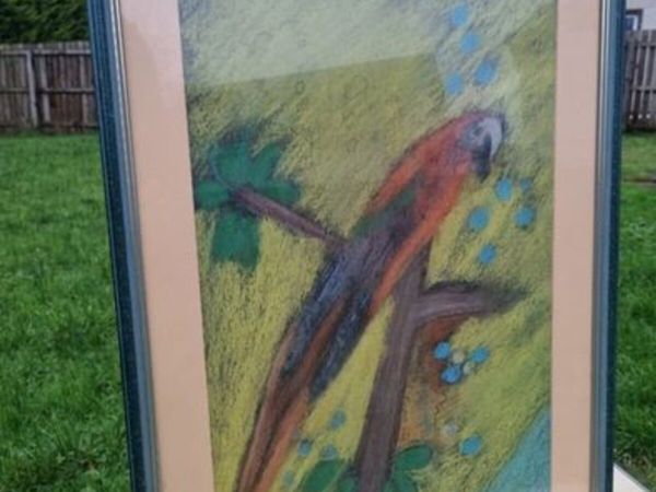 John Gallagher parrot pastel - Main image