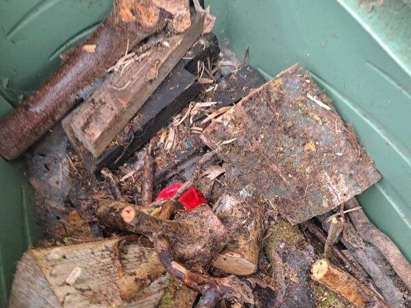 Fire wood - Main image