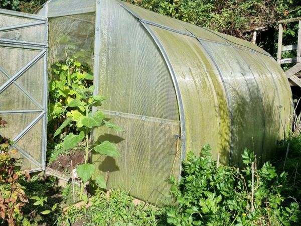 greenhouse - Main image