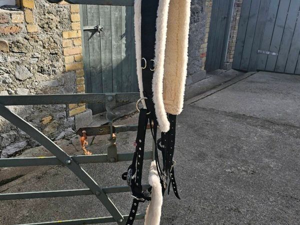 Breaking roller and side reins - Main image