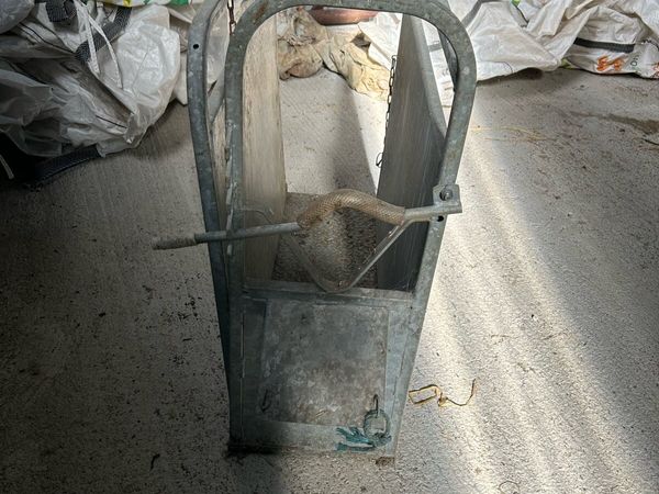 Calf dehorning crate - Main image