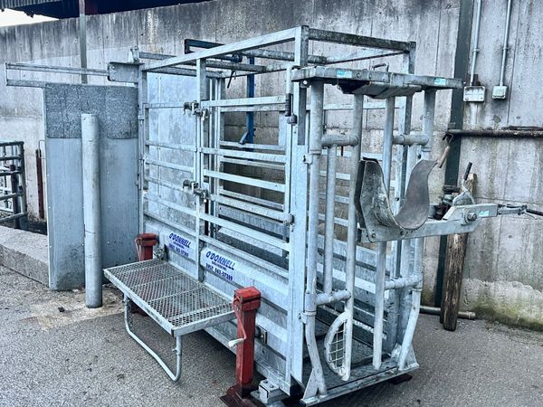 Mobile Cattle Crush & Weighing Scales Crate - Main image