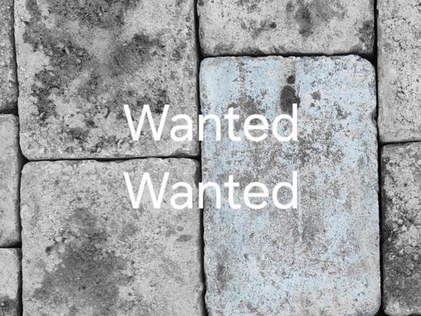 Paving Stone - Main image